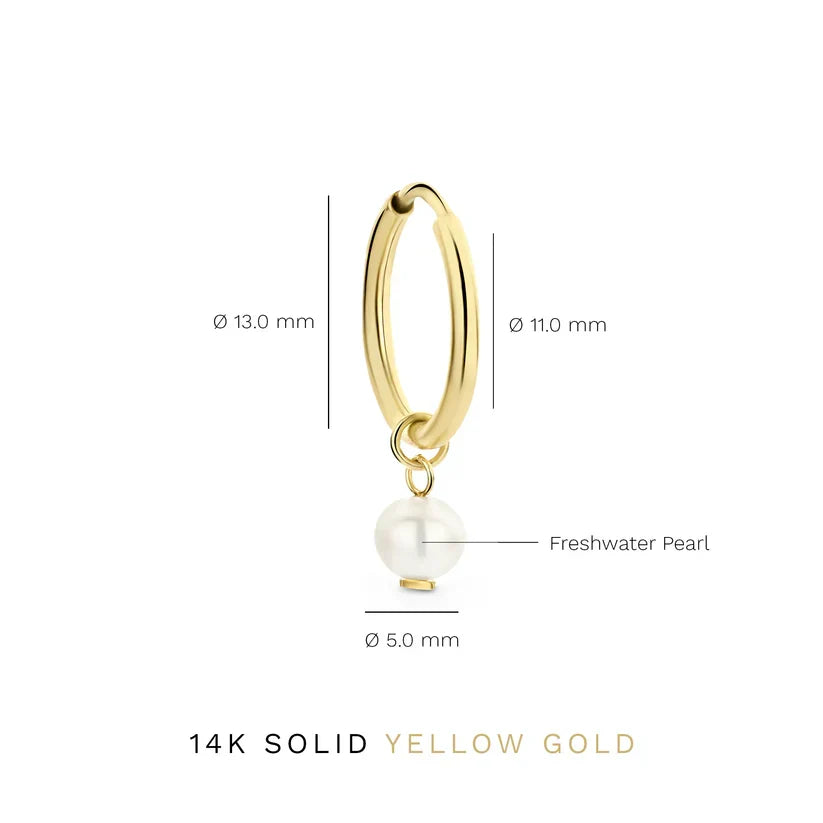 Pendientes Crest Delia | Oro